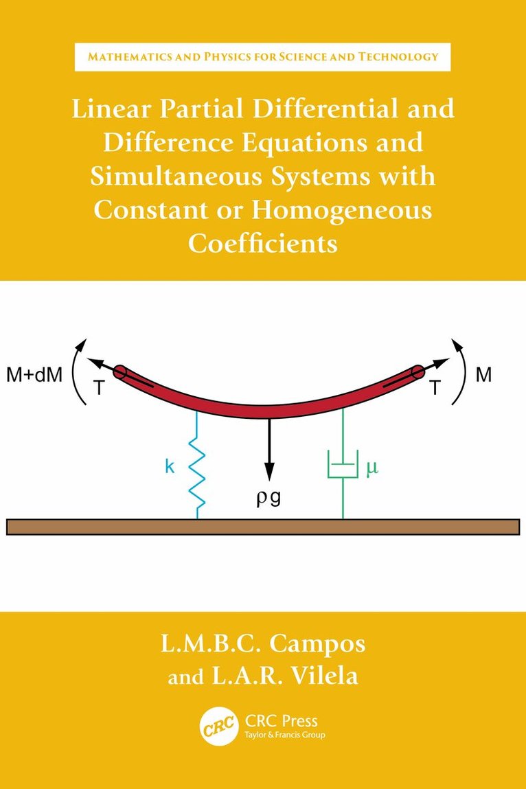 Luis Manuel Braga da Costa Campos, Luís António Raio Vilela - Linear Partial Differential and Difference Equations and Simultaneous Systems with Constant or Homogeneous Coefficients, Häftad