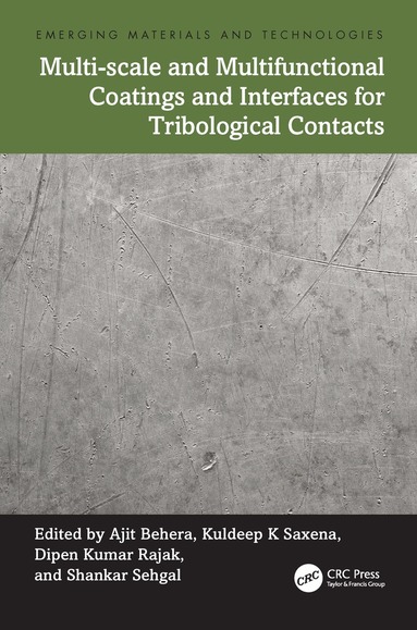 Ajit Behera, Kuldeep K Saxena, Dipen Kumar Rajak, Shankar Sehgal - Multi-scale and Multifunctional Coatings and Interfaces for Tribological Contacts, Häftad