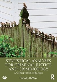 bokomslag Statistical Analyses for Criminal Justice and Criminology