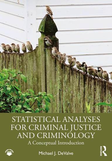 bokomslag Statistical Analyses for Criminal Justice and Criminology