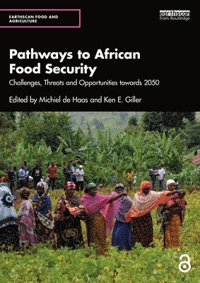 bokomslag Pathways to African Food Security