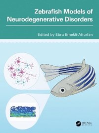 bokomslag Zebrafish Models of Neurodegenerative Disorders