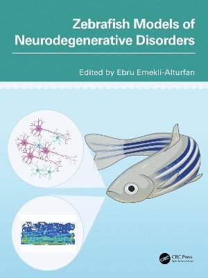 bokomslag Zebrafish Models of Neurodegenerative Disorders