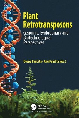 bokomslag Plant Retrotransposons