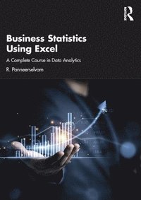 bokomslag Business Statistics Using Excel