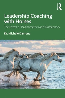 Leadership Coaching with Horses 1