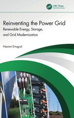 Reinventing the Power Grid 1