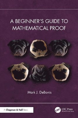Mark J. DeBonis, USA) DeBonis, Mark J. (Manhattan College, Mark J. Debonis - Beginner’s Guide to Mathematical Proof, Häftad