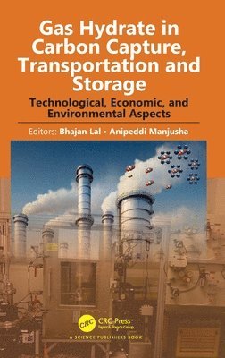 Gas Hydrate in Carbon Capture, Transportation and Storage 1