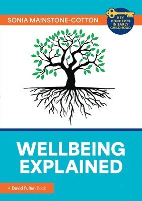 Wellbeing Explained 1