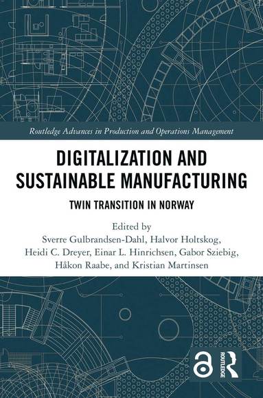 bokomslag Digitalization and Sustainable Manufacturing