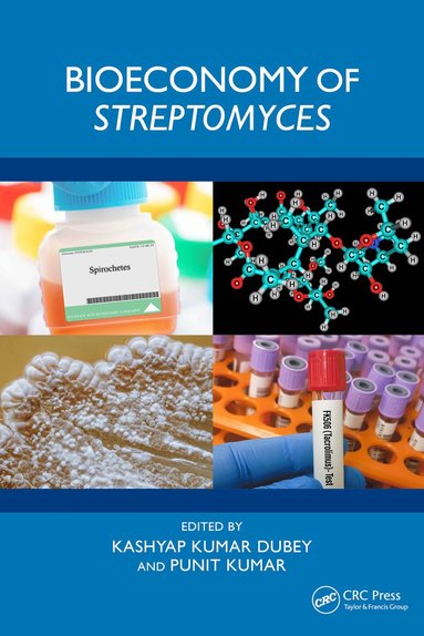 bokomslag Bioeconomy of Streptomyces