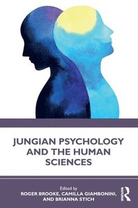 bokomslag Jungian Psychology and the Human Sciences