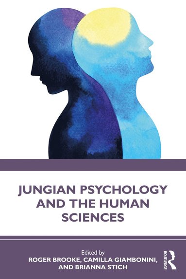 bokomslag Jungian Psychology and the Human Sciences