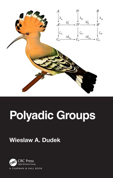 Wieslaw A. Dudek - Polyadic Groups, Inbunden