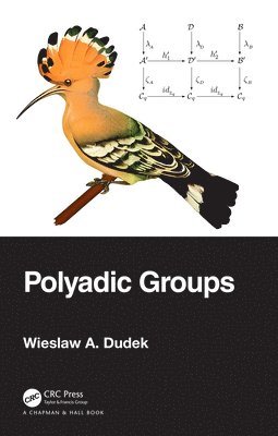 bokomslag Polyadic Groups