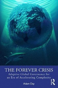 bokomslag The Forever Crisis