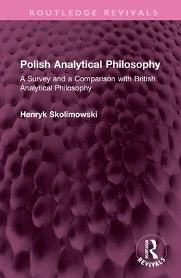 bokomslag Polish Analytical Philosophy