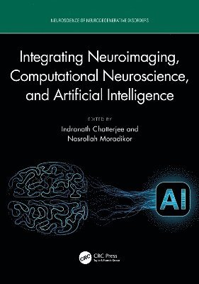 Integrating Neuroimaging, Computational Neuroscience, and Artificial Intelligence 1