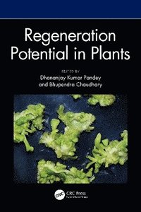 bokomslag Regeneration Potential in Plants