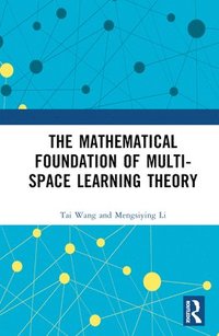 bokomslag Mathematical Foundation of Multi-Space Learning Theory