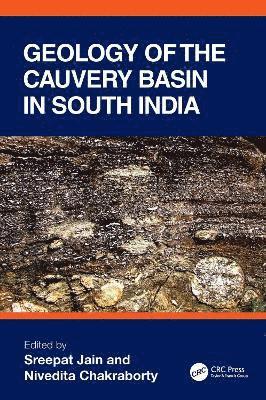 bokomslag Geology of the Cauvery Basin in South India