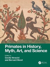 bokomslag Primates in History, Myth, Art, and Science