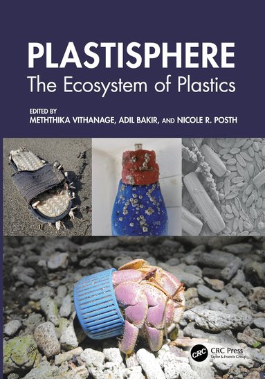 Meththika Vithanage, Adil Bakir, Nicole R. Posth - Plastisphere, Häftad