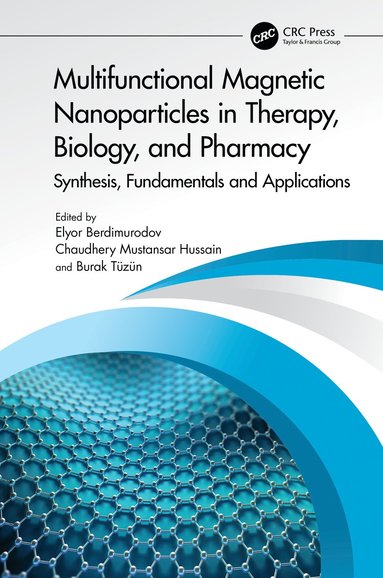 bokomslag Multifunctional Magnetic Nanoparticles in Therapy, Biology, and Pharmacy