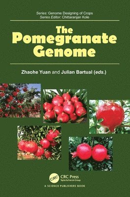 bokomslag Pomegranate Genome