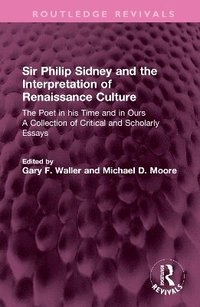 bokomslag Sir Philip Sidney and the Interpretation of Renaissance Culture
