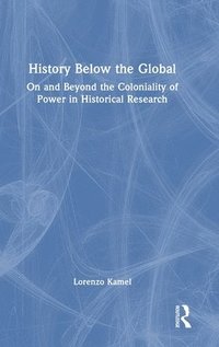 bokomslag History Below the Global