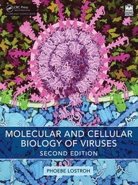 bokomslag Molecular and Cellular Biology of Viruses