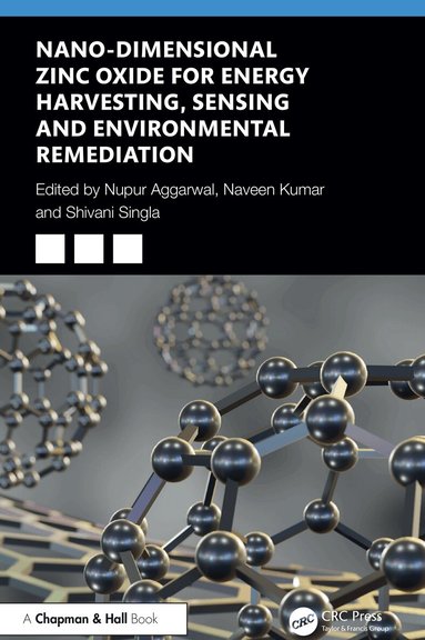 Nupur Aggarwal, Naveen Kumar, Shivani Singla - Nano-Dimensional Zinc Oxide for Energy Harvesting, Sensing, and Environmental Remediation, Inbunden