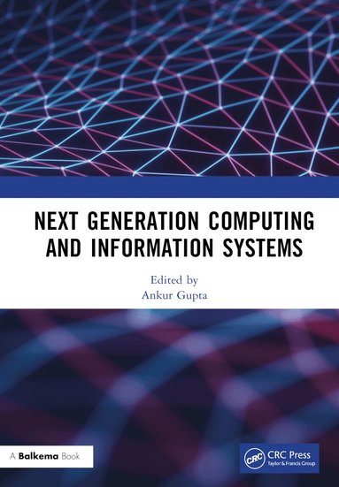 Ankur Gupta - Next Generation Computing and Information Systems, Inbunden