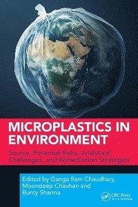 bokomslag Microplastics in Environment