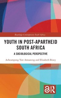 bokomslag Youth in Post-Apartheid South Africa