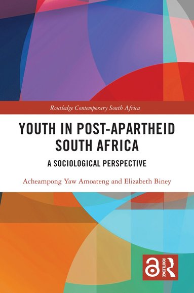 bokomslag Youth in Post-Apartheid South Africa