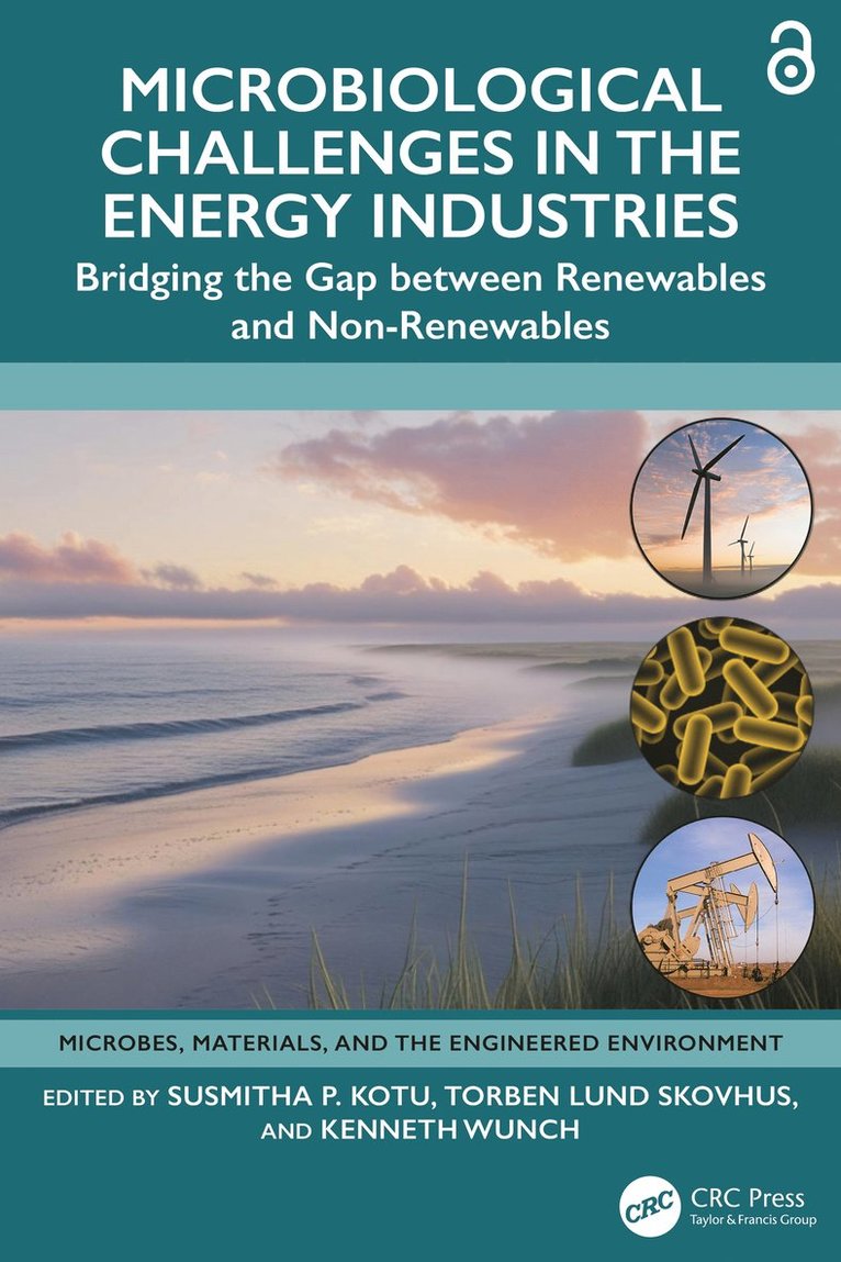 Microbiological Challenges in the Energy Industries