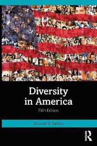 bokomslag Diversity in America