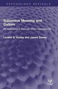 bokomslag Subjective Meaning and Culture