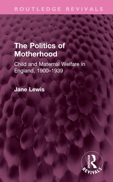 bokomslag Politics of Motherhood