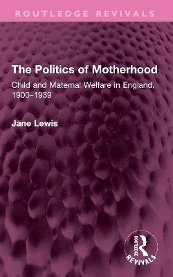 bokomslag Politics of Motherhood