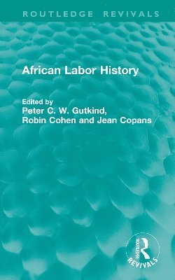 bokomslag African Labor History
