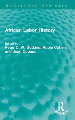 bokomslag African Labor History
