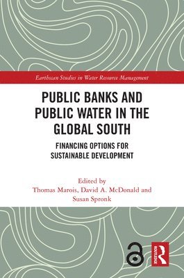 bokomslag Public Banks and Public Water in the Global South