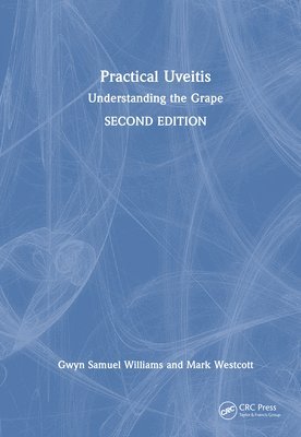 bokomslag Practical Uveitis