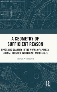 bokomslag A Geometry of Sufficient Reason
