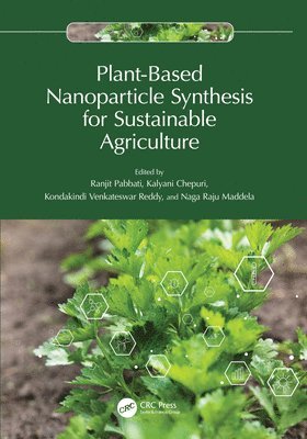 bokomslag Plant-Based Nanoparticle Synthesis for Sustainable Agriculture