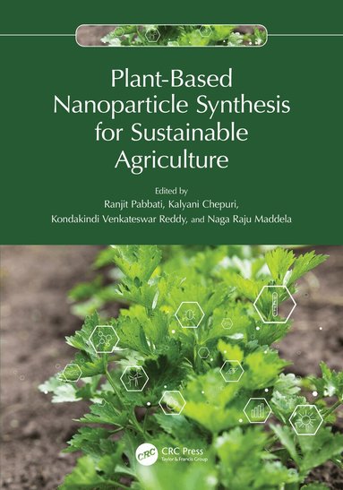 Ranjit Pabbati, Kalyani Chepuri, Kondakindi Venkateswar Reddy, Naga Raju Maddela - Plant-Based Nanoparticle Synthesis for Sustainable Agriculture, Häftad